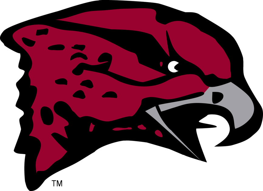 Maryland-Eastern Shore Hawks logos iron-ons
